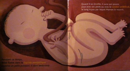 Lebébé6