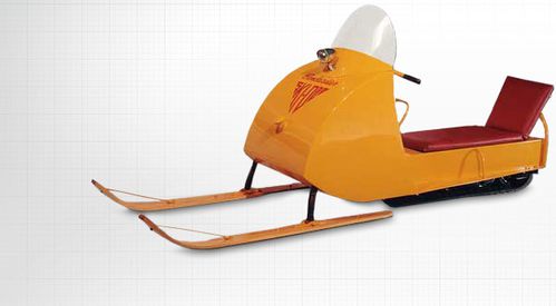 ski doo 2