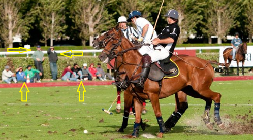 EQUITATION.POLO.VETEMENT.JEANS.png