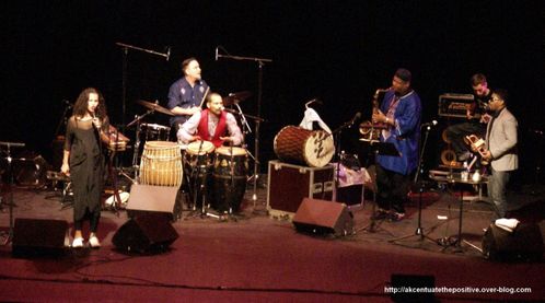 DSC06259-1.jpg