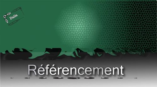 Referencement1