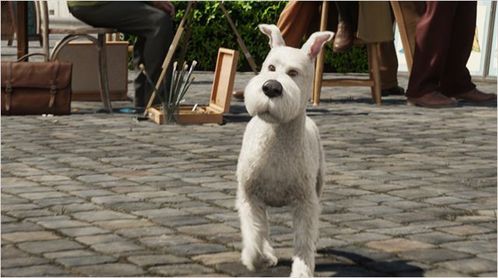 milou.jpg