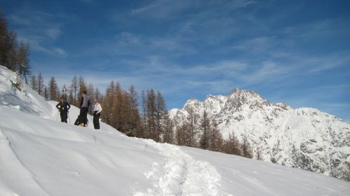 Automne-09_8558.jpg