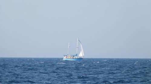 Anak-Bordeaux-aout-2012.jpg