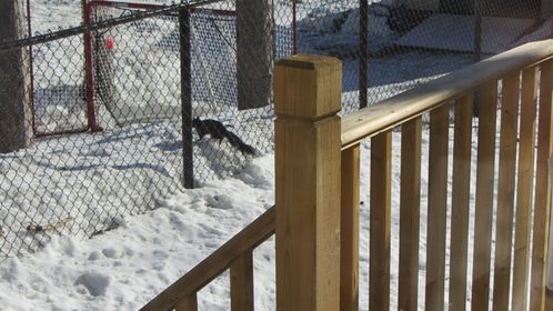 canada 0351