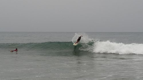 DSC01409