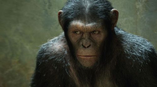 cesar-planete-des-singes-origines-andy-serkis.jpg