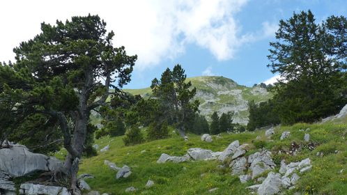 annecy-sans-tri-029.JPG
