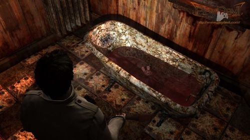 silent-hill-homecoming-116351.4216888.jpg