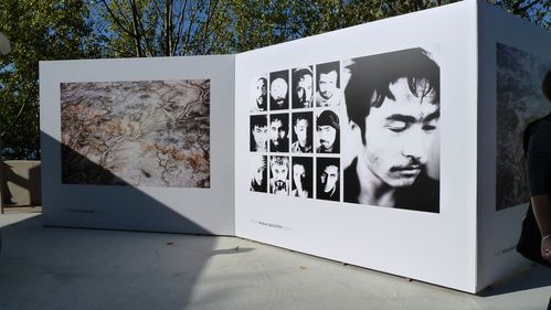 Mikhail Galustov, Afghans (Russie) P1140768.JPG