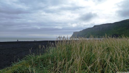 Islande_la plage de Vik P1000705