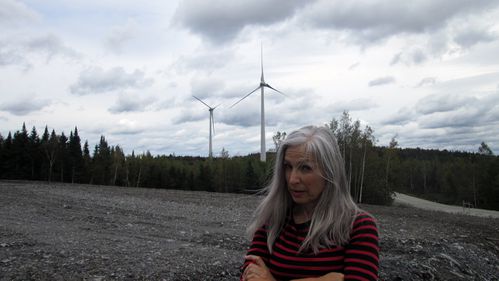 diane-2.jpg