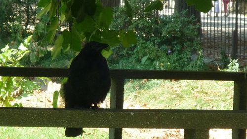 Septembre-2010-040.JPG