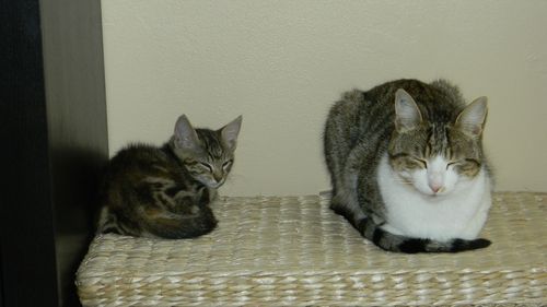DSCN3552.JPG
