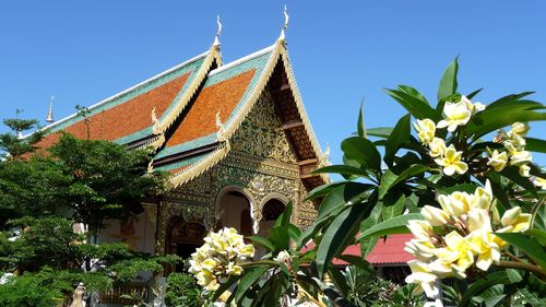 P1190911