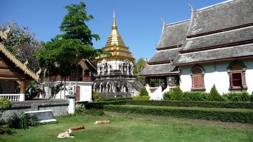 P1190935