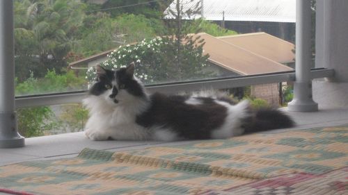 DSCN1339.JPG