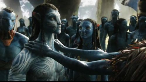 contact-avatar.jpg