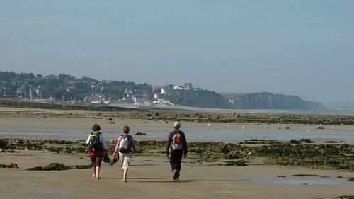 PourvilleQuiberville20110901 0035