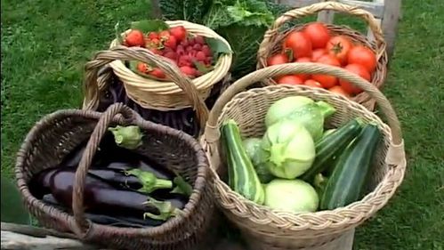 Permaculture-600.jpg