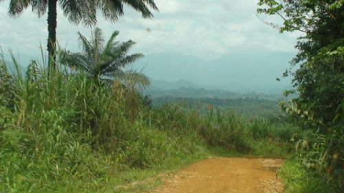 blog-8-10-Nkondjock-2010-route--2--m.jpg