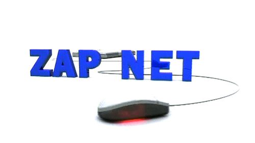 ZAP-NET.jpg