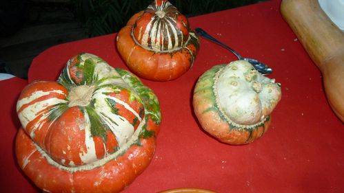 fete-de-la-courge-lyon-266.JPG