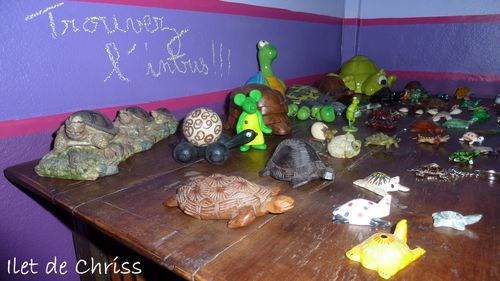 MAKATIA ET LES TORTUES IDC 16.12