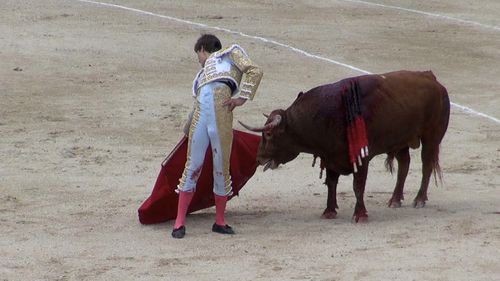 20130519-JLeal30.jpg