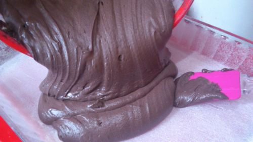 Gateau-au-chocolat---babeurre-0190.jpg