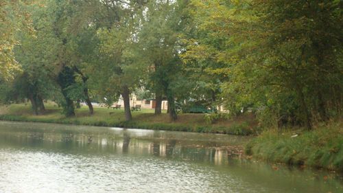 DSC03937