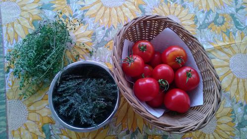 Thym-et-tomates.jpg