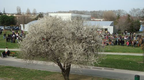 DSC01966