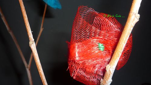 fleur2 filet légumes