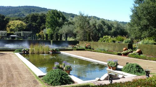 Filoli Garden, CA-26