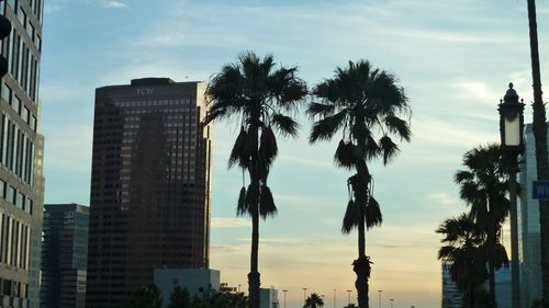 Downtown LA, CA - 10