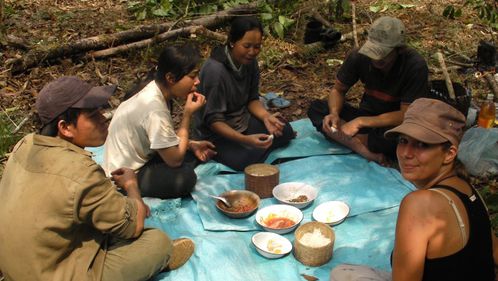 Repas au milieu des cafiers - Ban Nong Luang