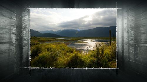 M9.jpg