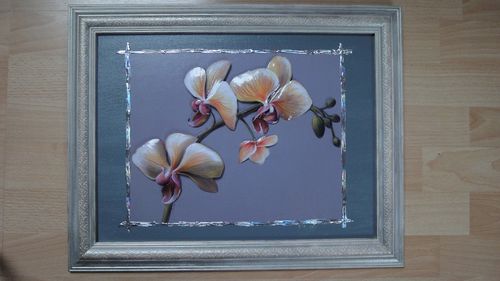 Les orchidées de Nat