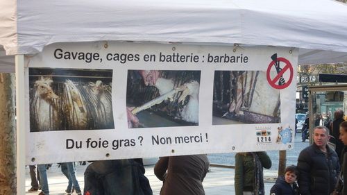 Foie gras chinois, projet tombé à l'eau OUF! 5-contestation-foie-gras-champs-elysees-10-12-2011-1-
