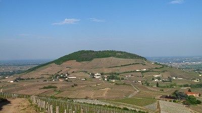 beaujolais cote de brouilly mont