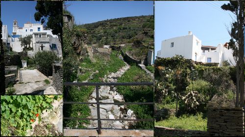 tinos11.jpg