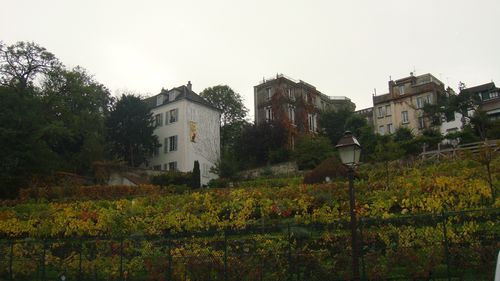 DSC04439