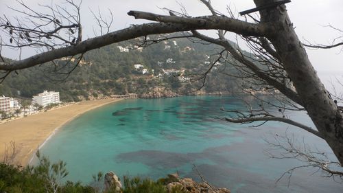 Ibiza A9