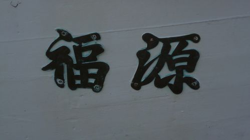 P1040486.JPG
