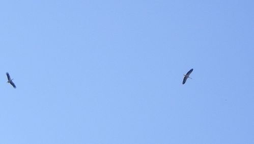 DSCN9612--640x362-.jpg