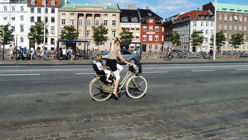 P1260021.JPG