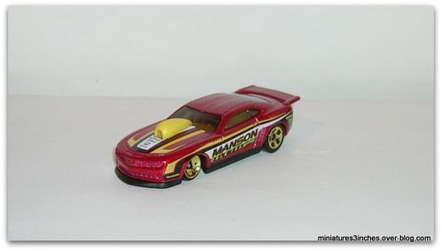 IMGP8323.JPG