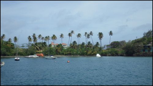 CHARTER Deck St Vincent - Blue Lagoon13 au 2 avril 2014 (25