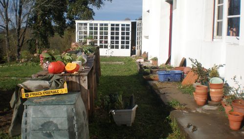 PB190878.JPG